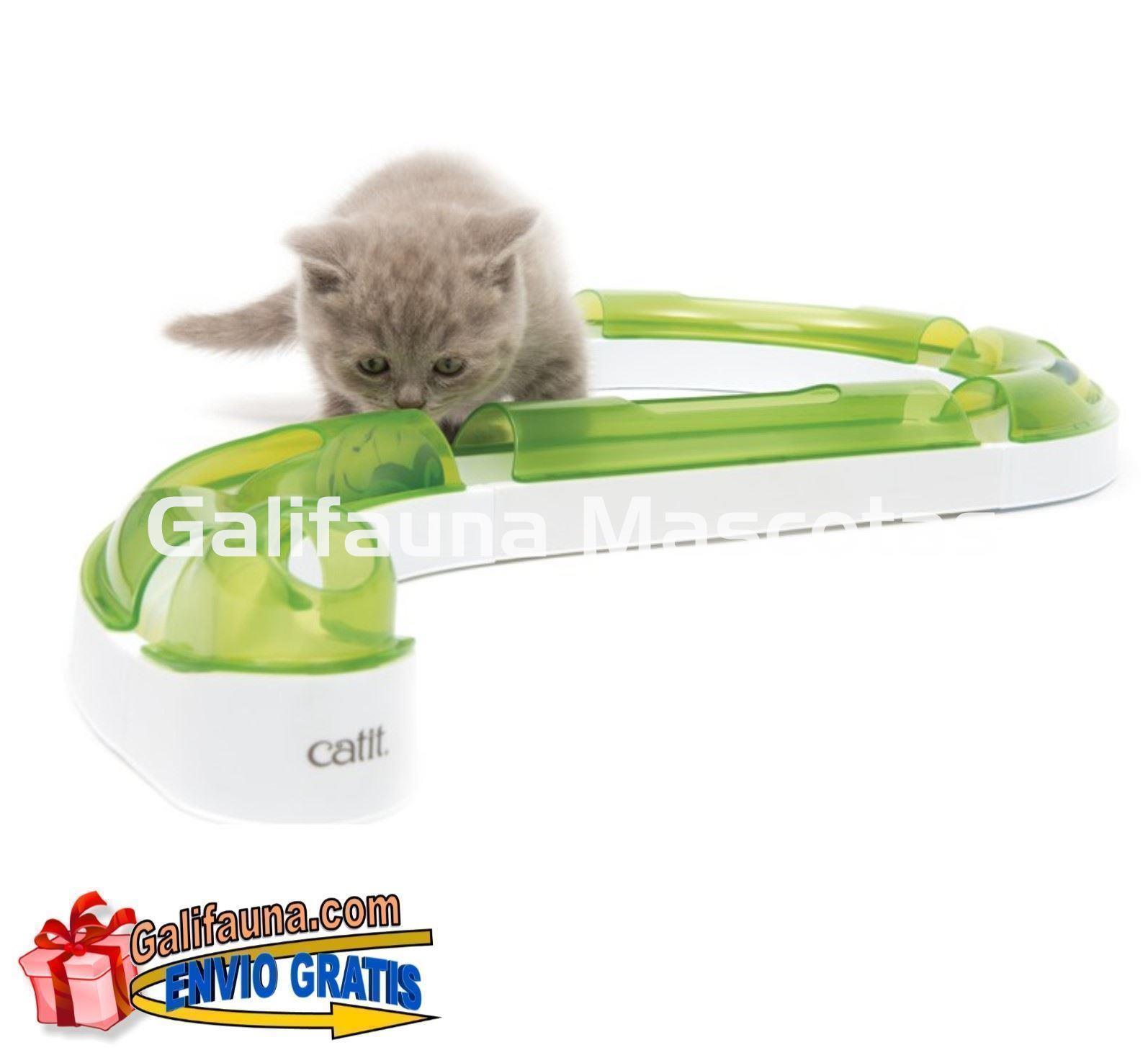 Juguete para gato CIRCUITO PLAY SENSES 2.0 CATIT. - Imagen 1
