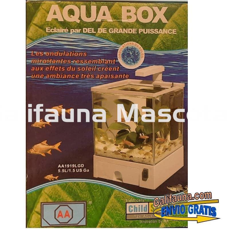 Nano acuario Aqua Box 5.5 litros. Iluminación y filtro incluidos. - Imagen 4
