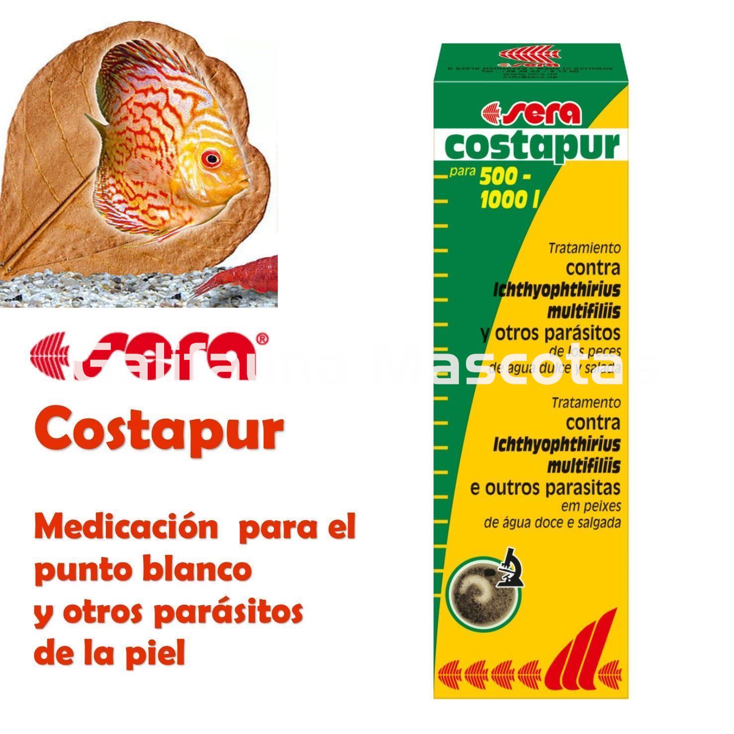 SERA Costapur 50 ml. Medicación contra punto blanco y otros - Imagen 1