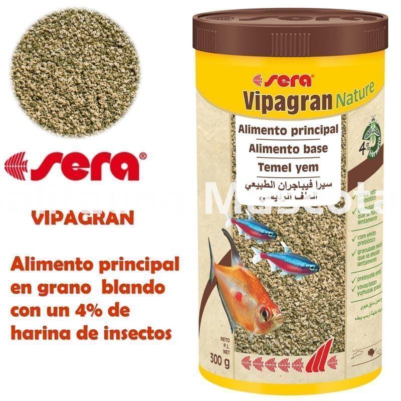 SERA Vipagran, alimento granulado para peces - Imagen 4