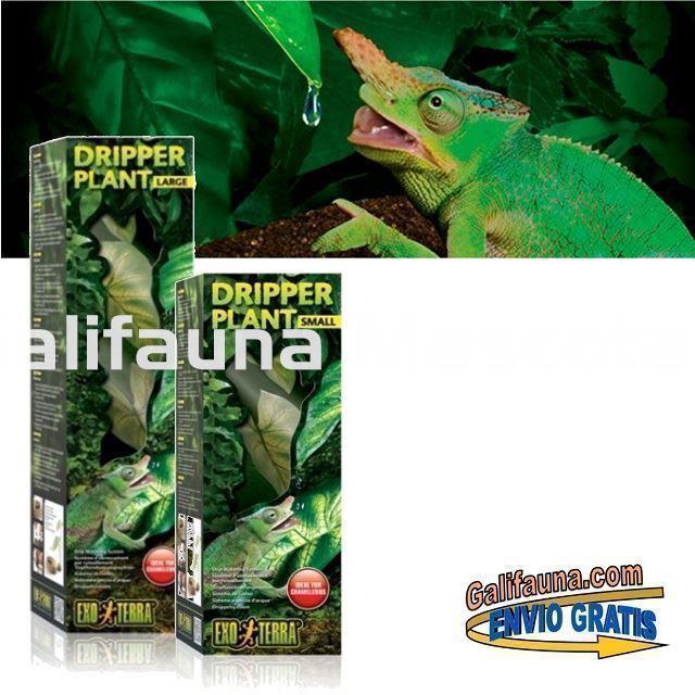 Sistema de LLUVIA POR GOTEO DRIPPER PLANT. Estimula a los reptiles a beber como en la naturaleza. - Imagen 3