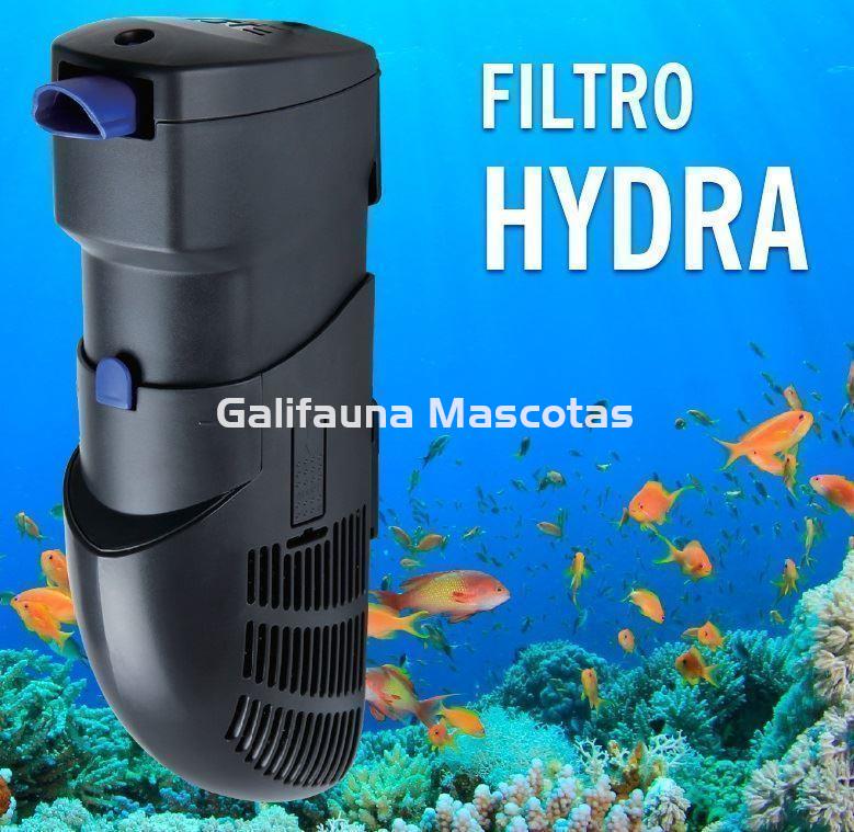 TEMA 10: Tipos de filtro para acuario - Curso de acuariofilia GRATIS