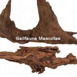 1 kg de Raiz de Manglar. - Imagen 1