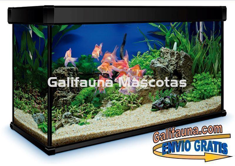 Acuario 240 litros AquaLux PRO. - Imagen 2