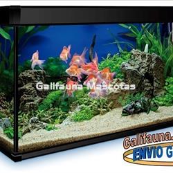 Acuario 300 litros AquaLux PRO. - Imagen 2