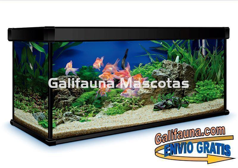 Acuario 600 litros AquaLux PRO. - Imagen 2