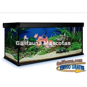 Acuario 600 litros AquaLux PRO. - Imagen 2