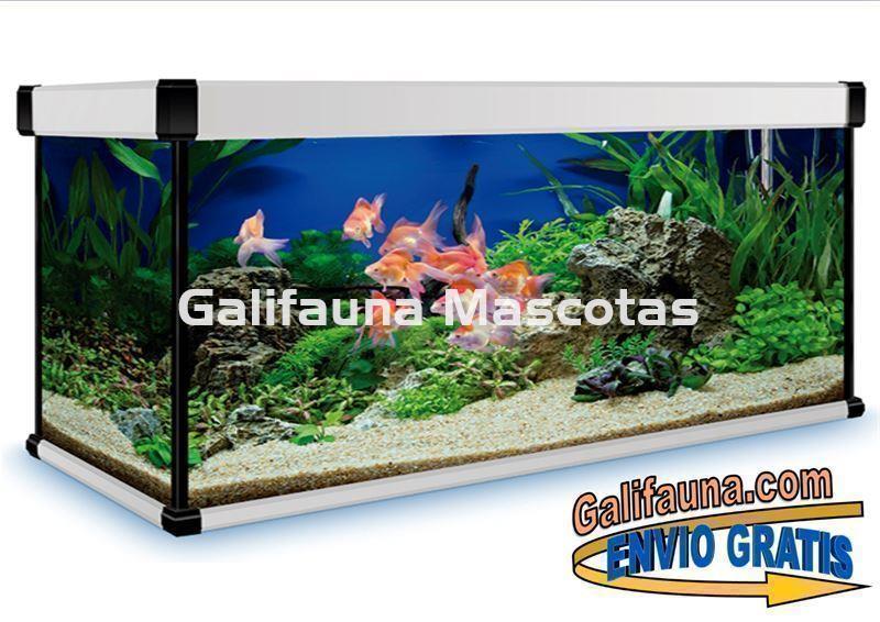 Acuario 600 litros AquaLux PRO. - Imagen 3