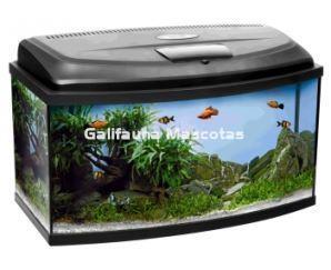 Acuario Aquael LEDDY CURVO de 45L. Kit de acuario completo. - Imagen 1