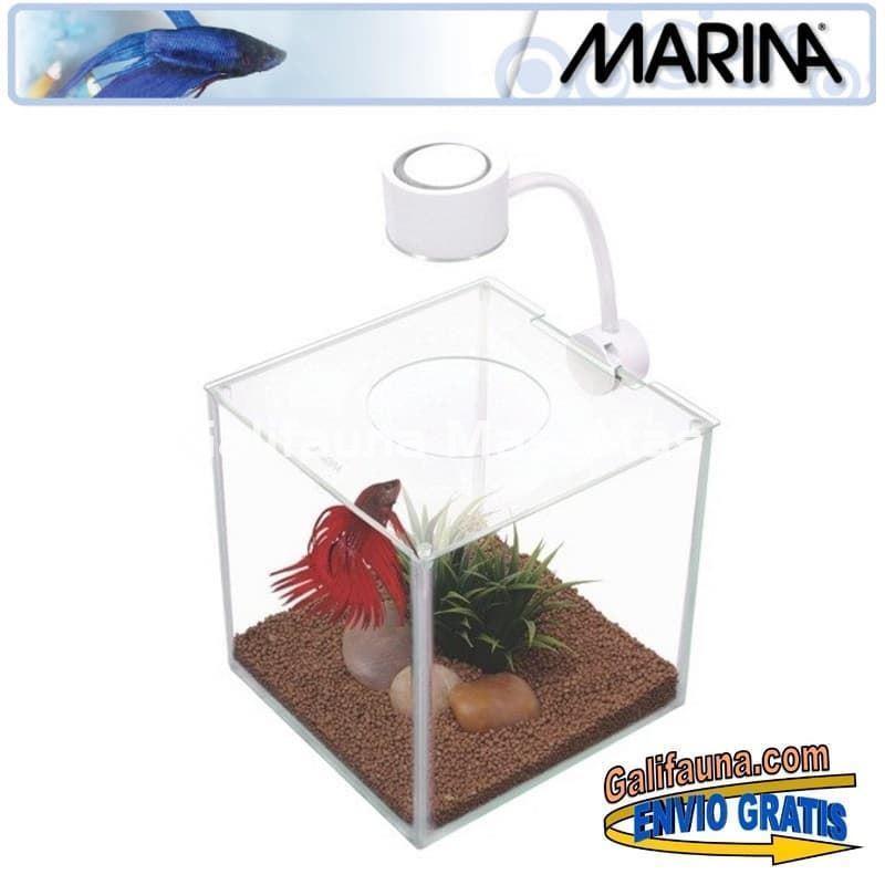 Acuario CUBUS CRISTAL de 3.4 Litros con Iluminación LED. Betera de cristal. - Imagen 1