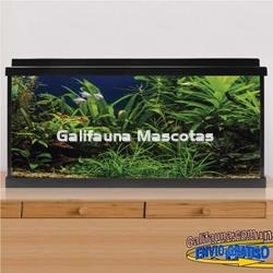 Acuario de cristal kit LITE 100 l.  "Formato más económico". - Imagen 1