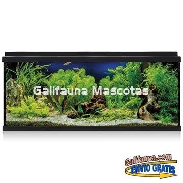 Acuario de cristal kit LITE 100 l.  "Formato más económico". - Imagen 2