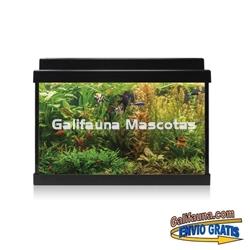 Acuario de cristal kit LITE 20 l.  "Formato más económico". - Imagen 2