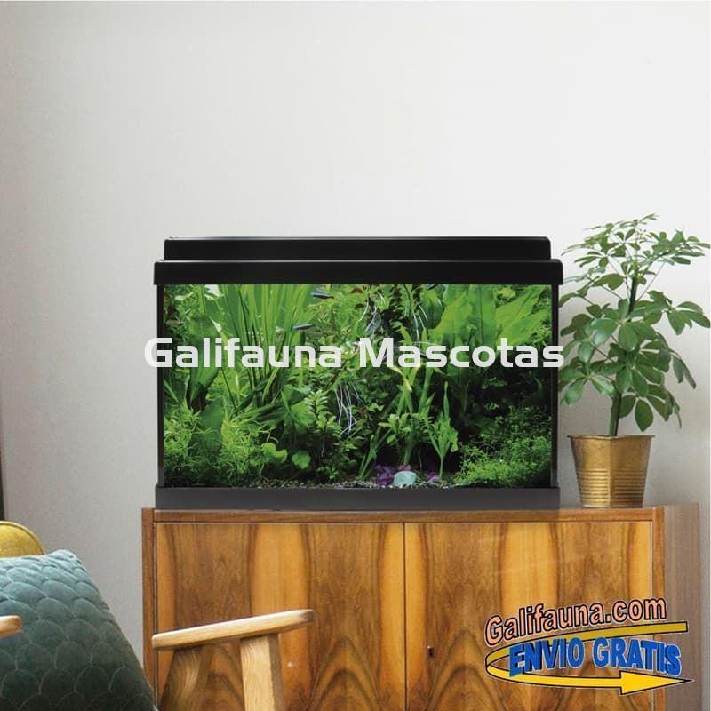 Acuario de cristal kit LITE 33 l. "Formato más económico". - Imagen 1