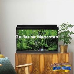 Acuario de cristal kit LITE 33 l.  "Formato más económico". - Imagen 1