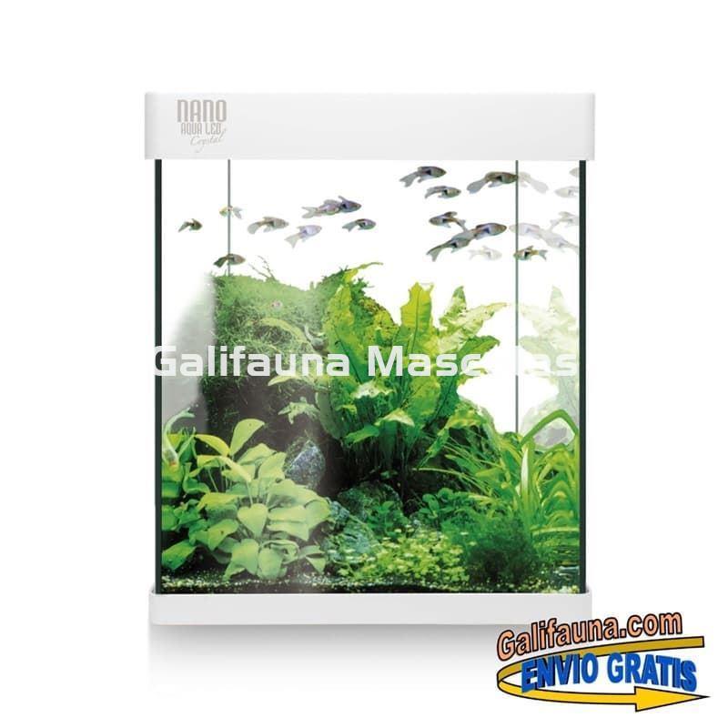Acuario de cristal kit LITE NANO 10 20 y 30 l.  "Formato más económico". - Imagen 2