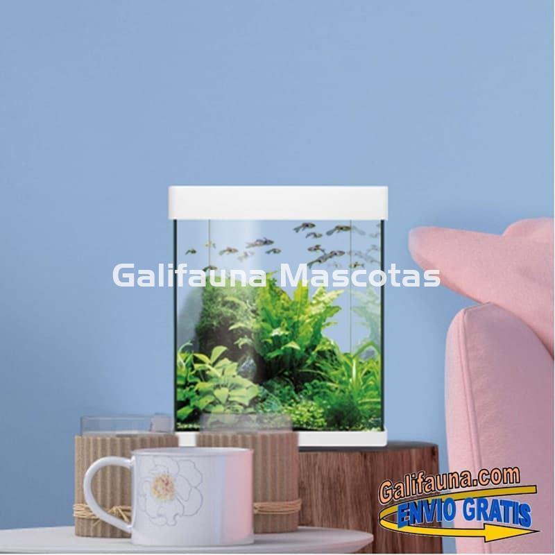 Acuario de cristal kit LITE NANO 10 20 y 30 l.  "Formato más económico". - Imagen 5