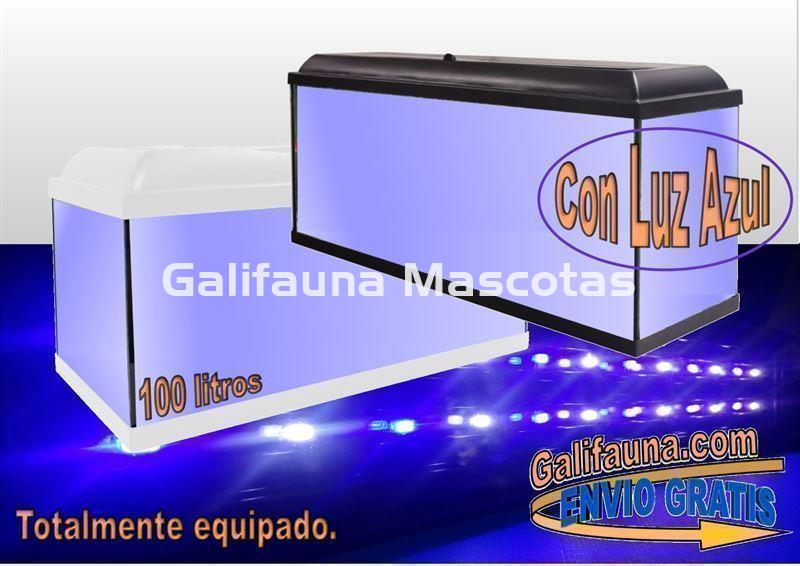 Acuario kit 100 Litros. Con luz azul. Efecto luz de luna. - Imagen 1