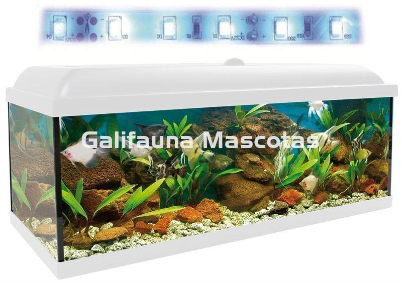 Acuario kit 240 Litros. Con luz azul. Efecto luz de luna. - Imagen 2