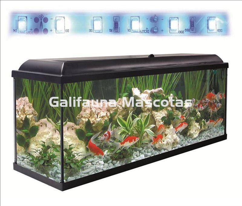 Acuario kit 240 Litros. Con luz azul. Efecto luz de luna. - Imagen 3