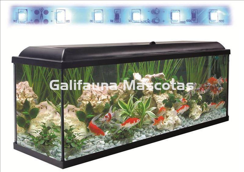 Acuario kit 300 Litros. Con luz azul. Efecto luz de luna. - Imagen 3