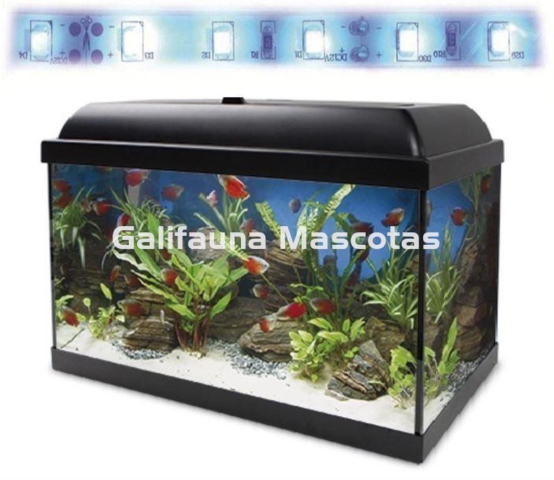 Acuario kit 45 Litros. Con luz azul. Efecto luz de luna. - Imagen 3