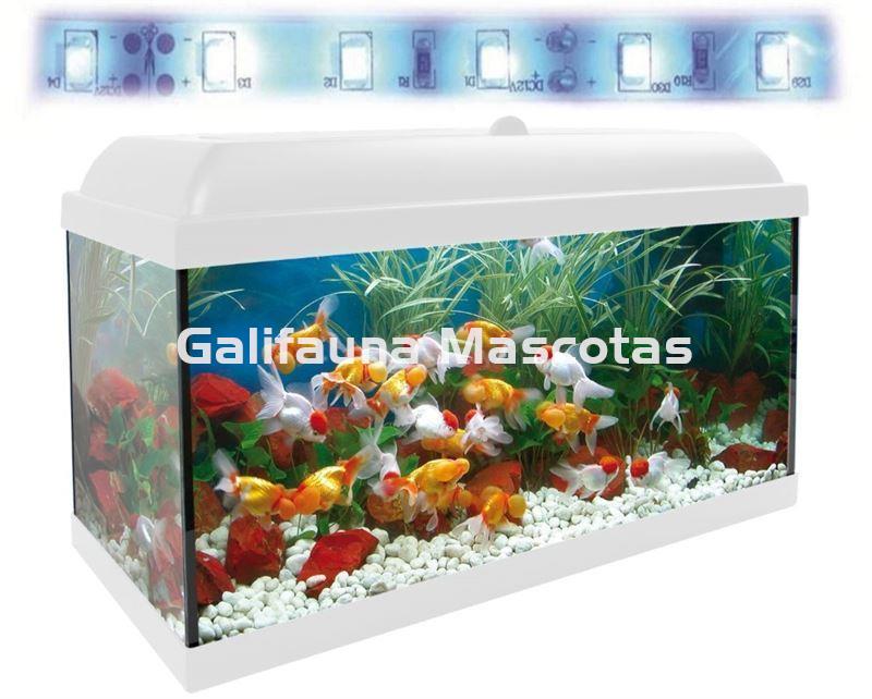 Acuario kit 68 Litros. Con luz azul. Efecto luz de luna. - Imagen 2