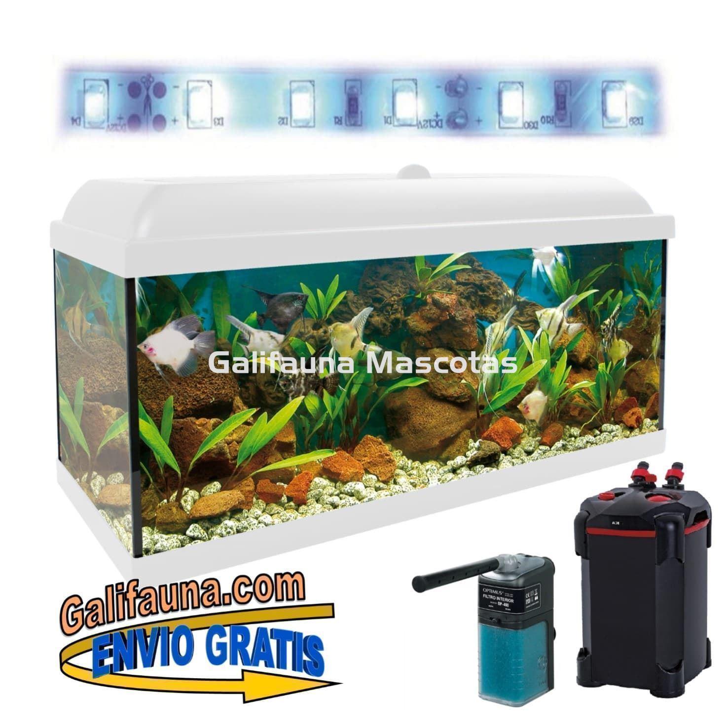 Acuario kit Aqualed 100 Litros. Filtro Optimus o Biopower.