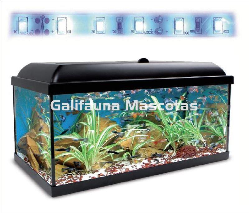 Sonrisa Tender tramo Acuario kit Aqualed 100 Litros. Filtro Optimus o Biopower. | ICA