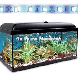 Acuario kit Aqualed 100 Litros. Filtro Optimus o Biopower. - Imagen 2