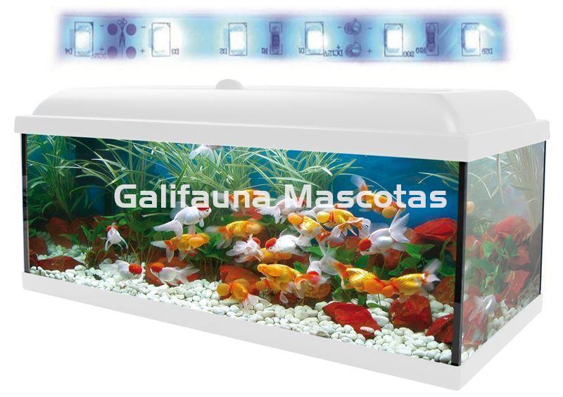 Acuario kit Aqualed 130 Litros. CON FILTRO EXTERIOR. - Imagen 2