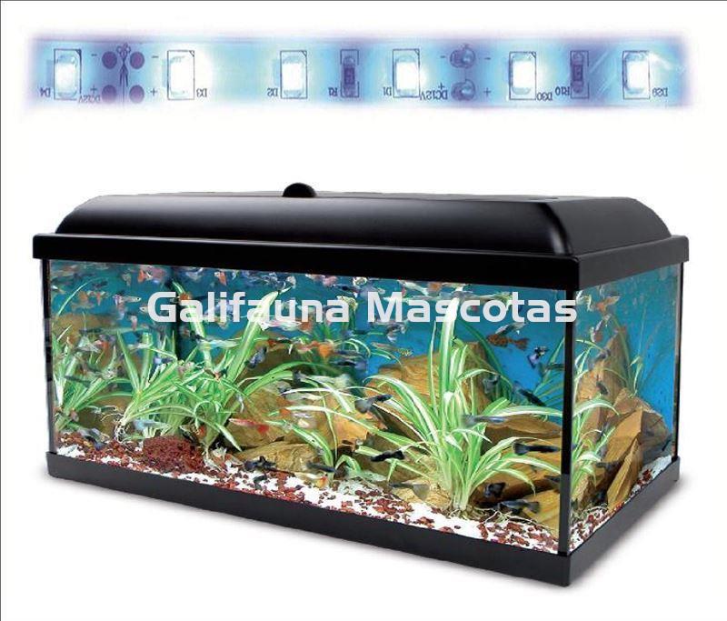 Kit completo acuario ICA AquaLed Pro con filtro, luz led, calentador