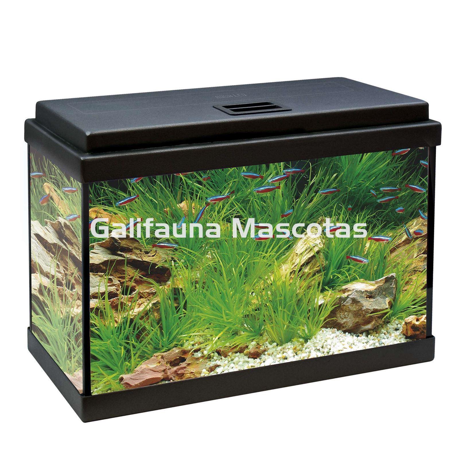 Acuario kit Aqualed 20 Litros. Filtro interior. - Imagen 1