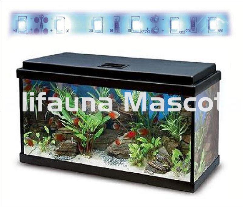 Acuario kit Aqualed 20 Litros. Filtro interior. - Imagen 4