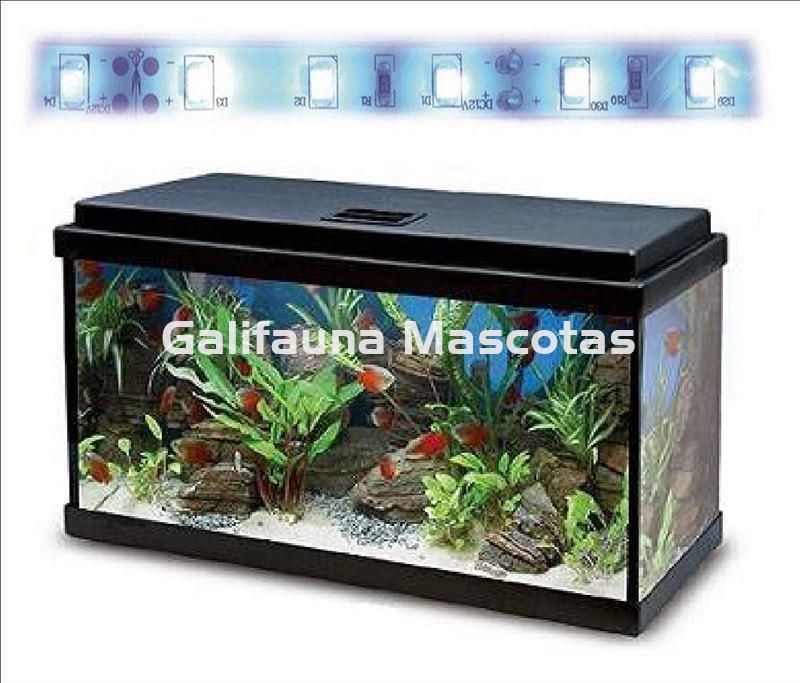 Acuario kit Aqualed 20 Litros. Filtro interior. - Imagen 4