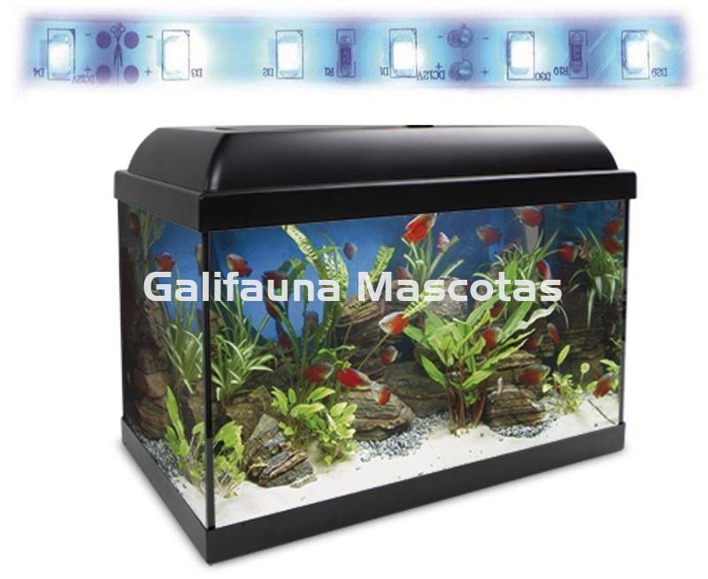 Acuario kit Aqualed 25 Litros. Filtro interior. - Imagen 2