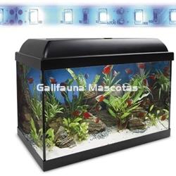 Acuario kit Aqualed 25 Litros. Filtro interior. - Imagen 2