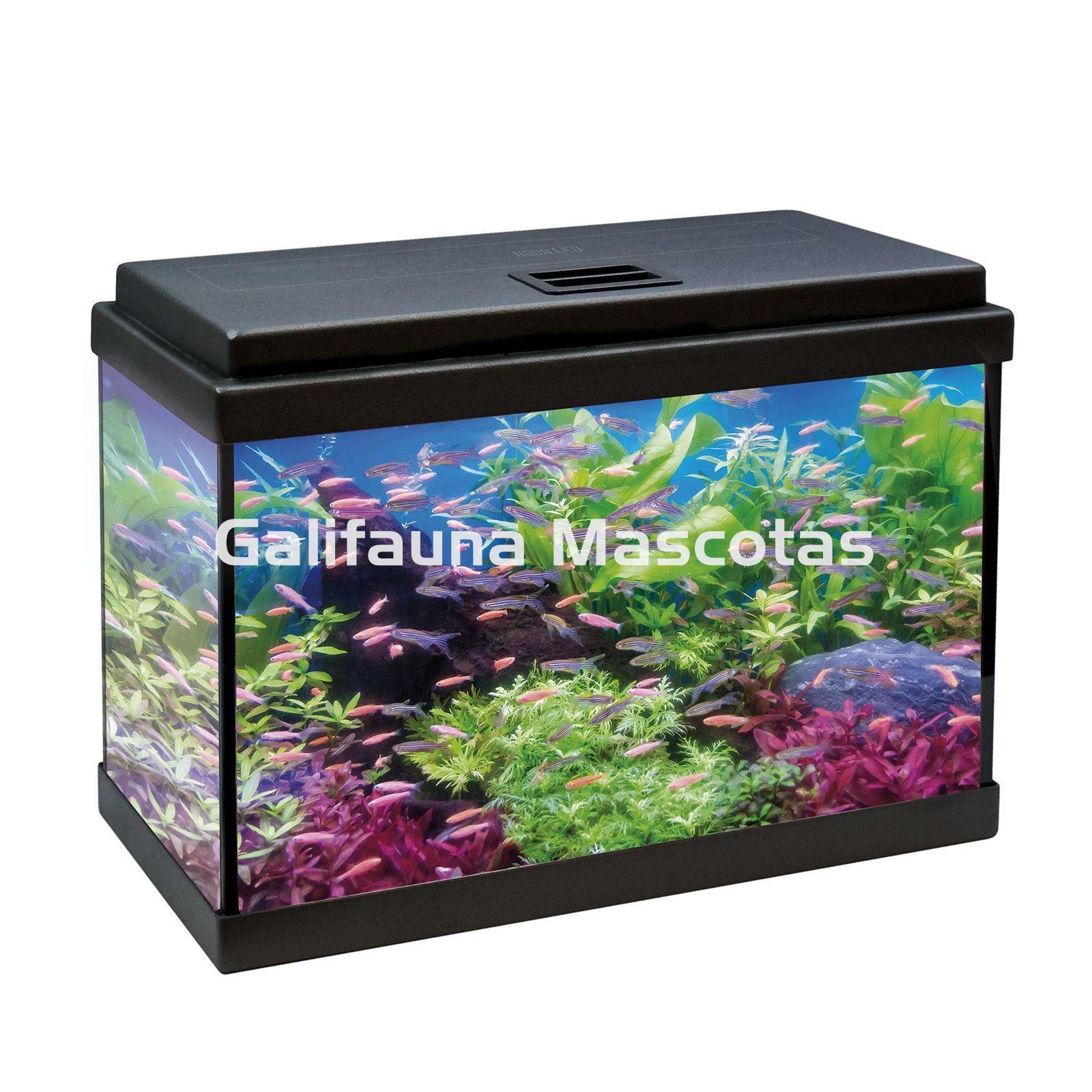 Acuario kit Aqualed 33 Litros. Filtro interior. - Imagen 1