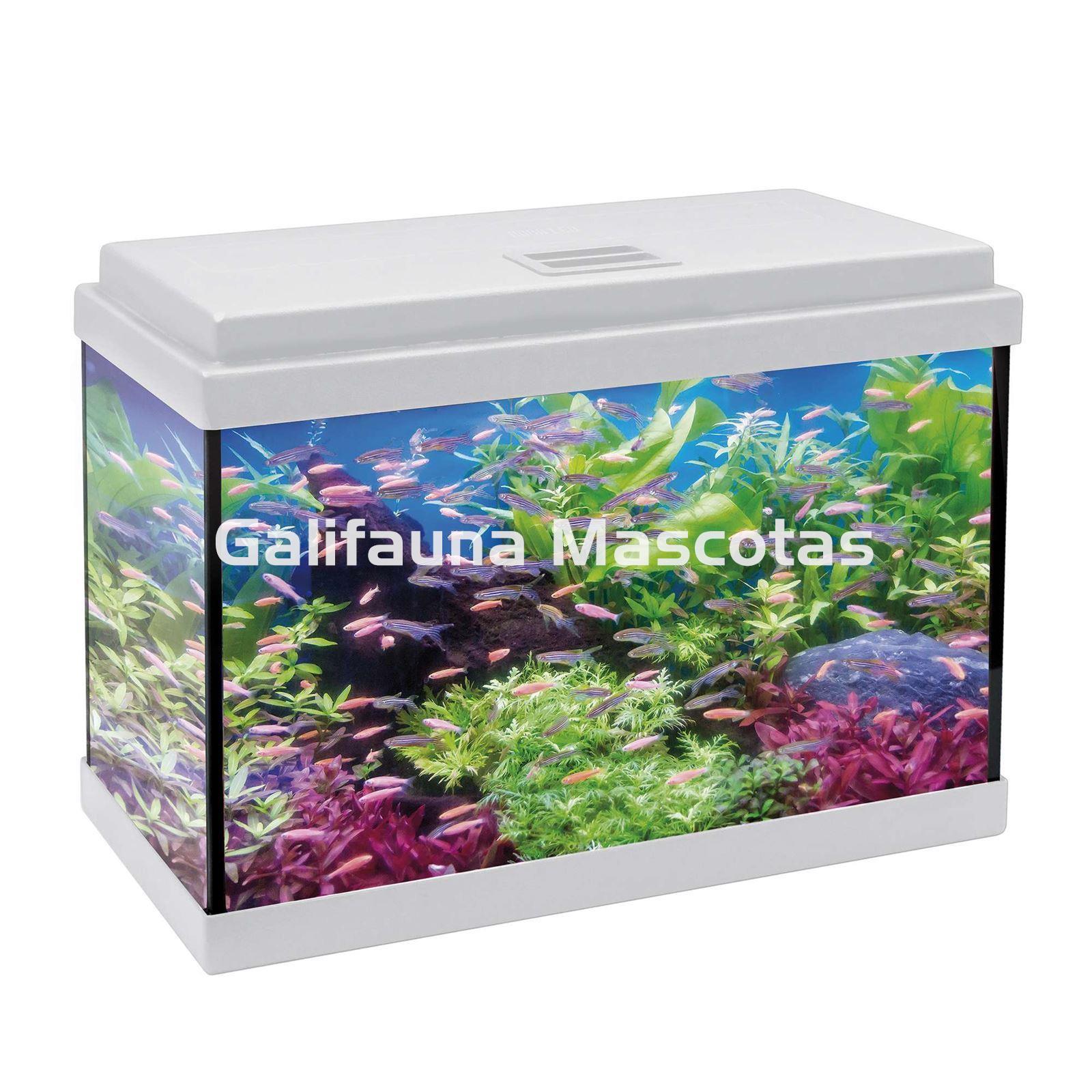 Acuario kit Aqualed 33 Litros. Filtro interior. - Imagen 2