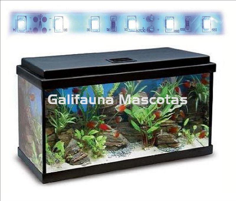 Acuario kit Aqualed 33 Litros. Filtro interior. - Imagen 4