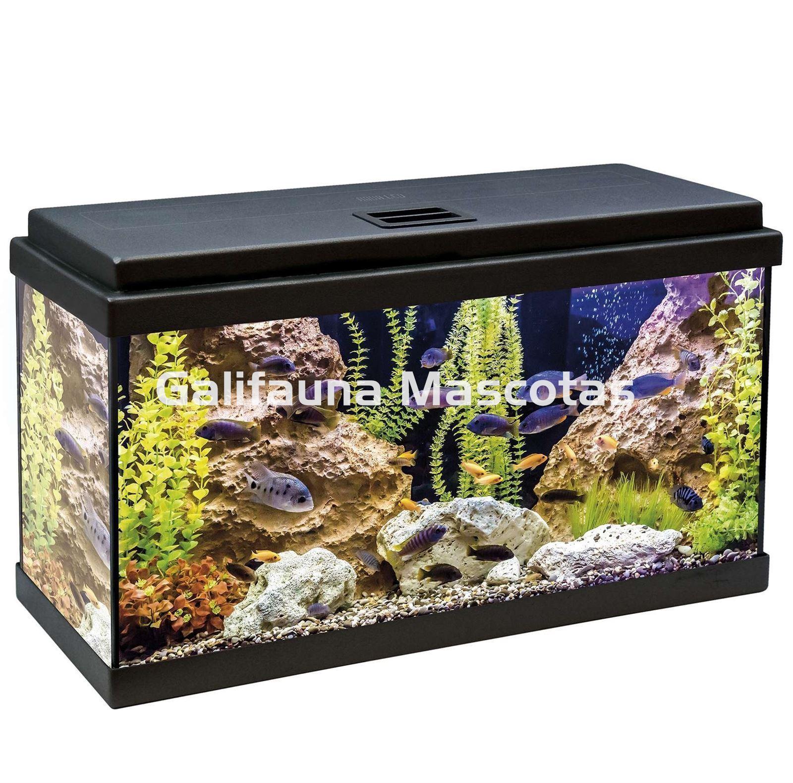 Acuario kit Aqualed 60 Litros. Filtro interior. - Imagen 1