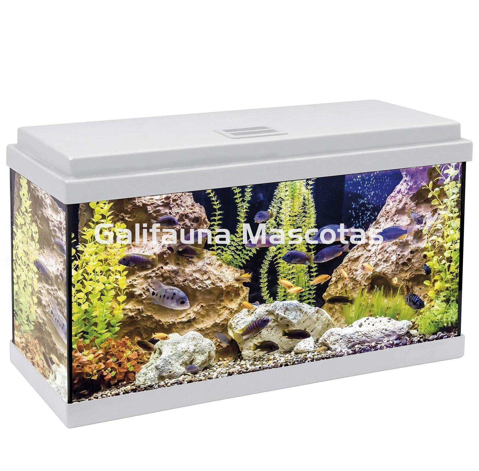 Acuario kit Aqualed 60 Litros. Filtro interior. - Imagen 2