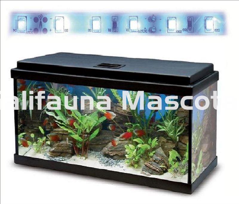 Acuario kit Aqualed 60 Litros. Filtro interior. - Imagen 5