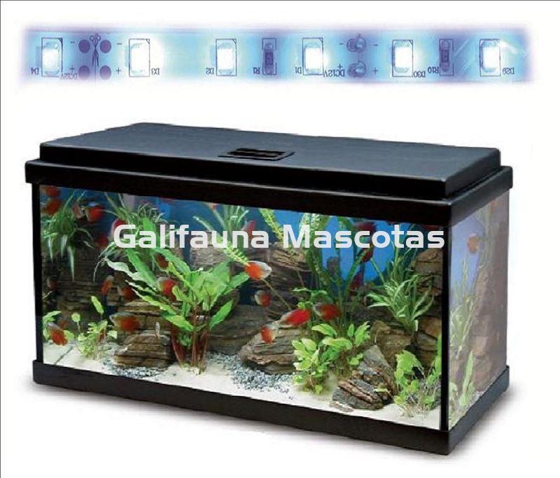 Acuario kit Aqualed 60 Litros. Filtro interior. - Imagen 5