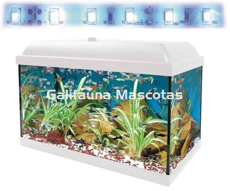 Acuario kit Aqualed 68 Litros. Filtro interior. - Imagen 1