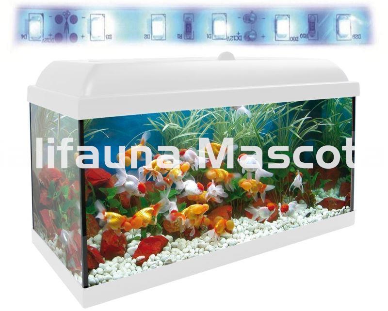 Acuario kit Aqualed 68 Litros. Filtro Optimus - Imagen 1
