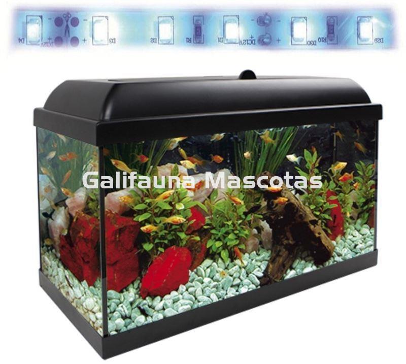 Acuario kit Aqualed 68 Litros. Filtro Optimus - Imagen 2