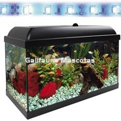 Acuario kit Aqualed 68 Litros. Filtro Optimus - Imagen 2