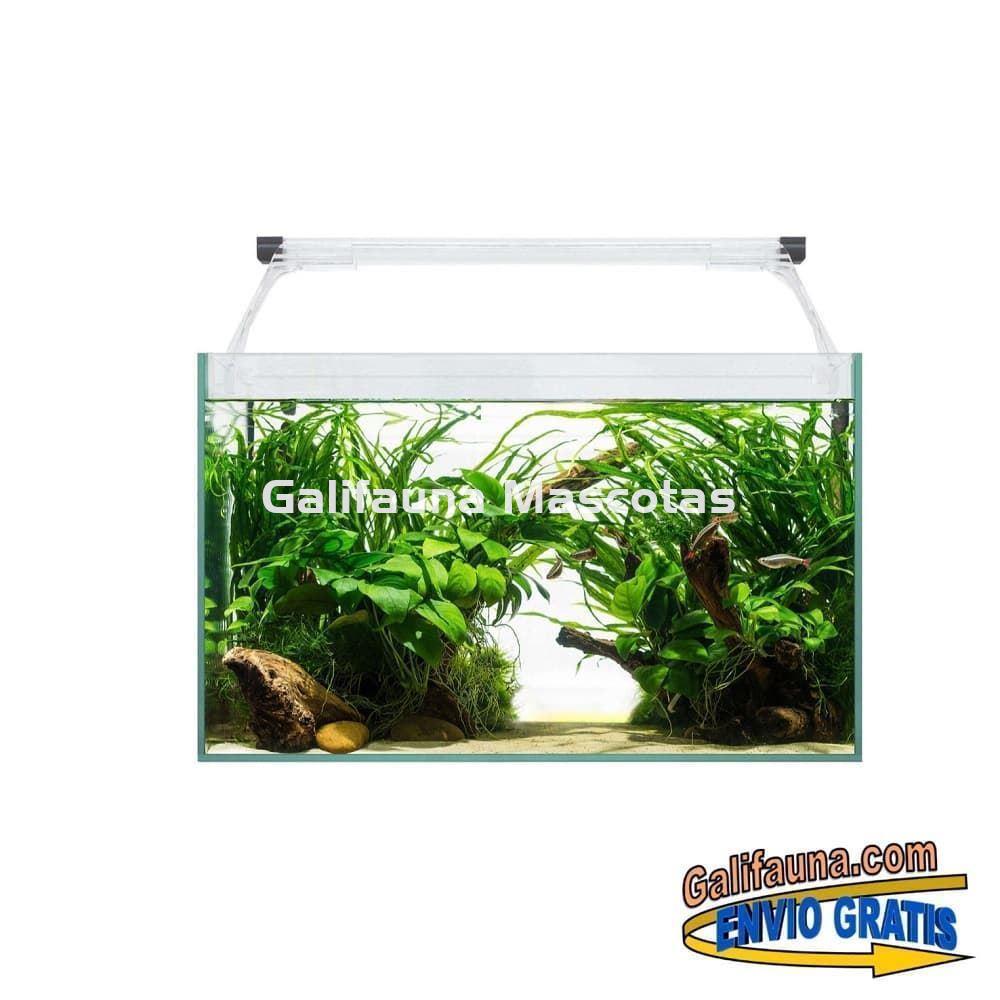 Acuario kit AQUALIGHT GLASS 40. "Vive el mundo del aquascape". - Imagen 1