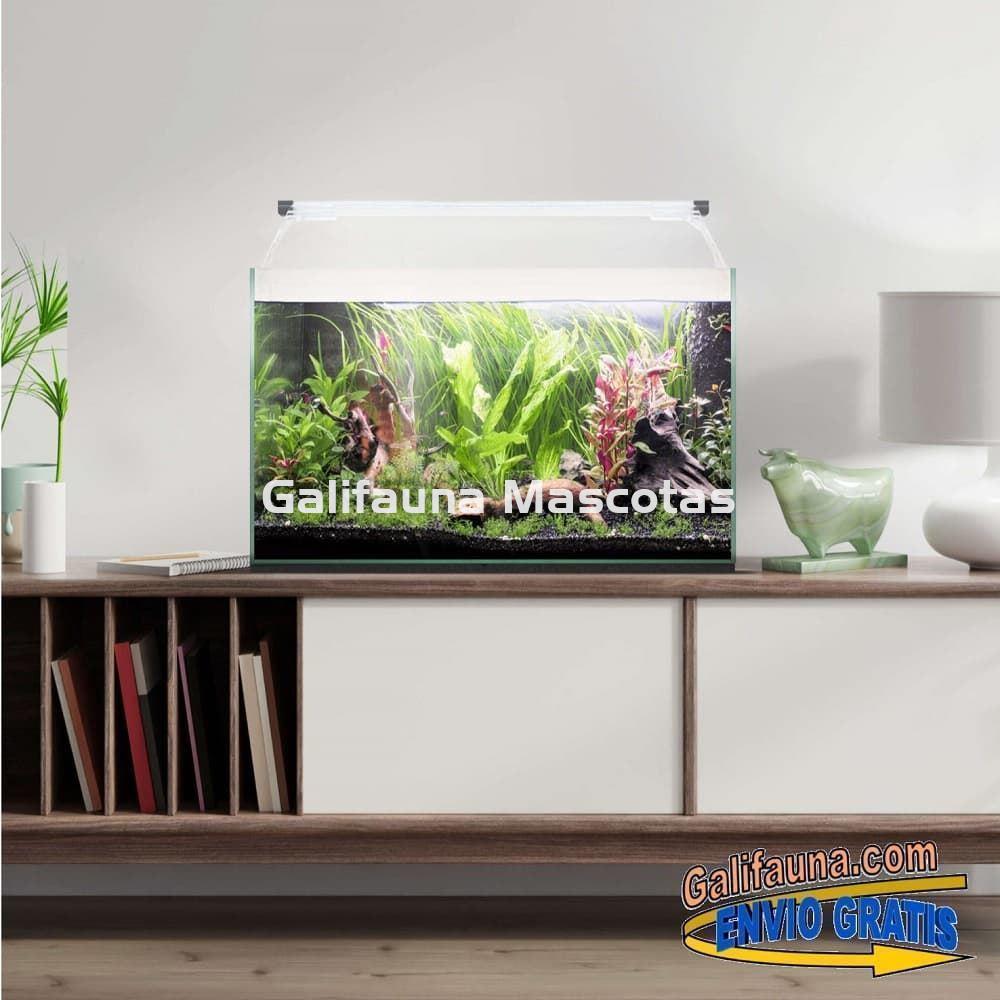 Acuario kit AQUALIGHT GLASS 40. "Vive el mundo del aquascape". - Imagen 2